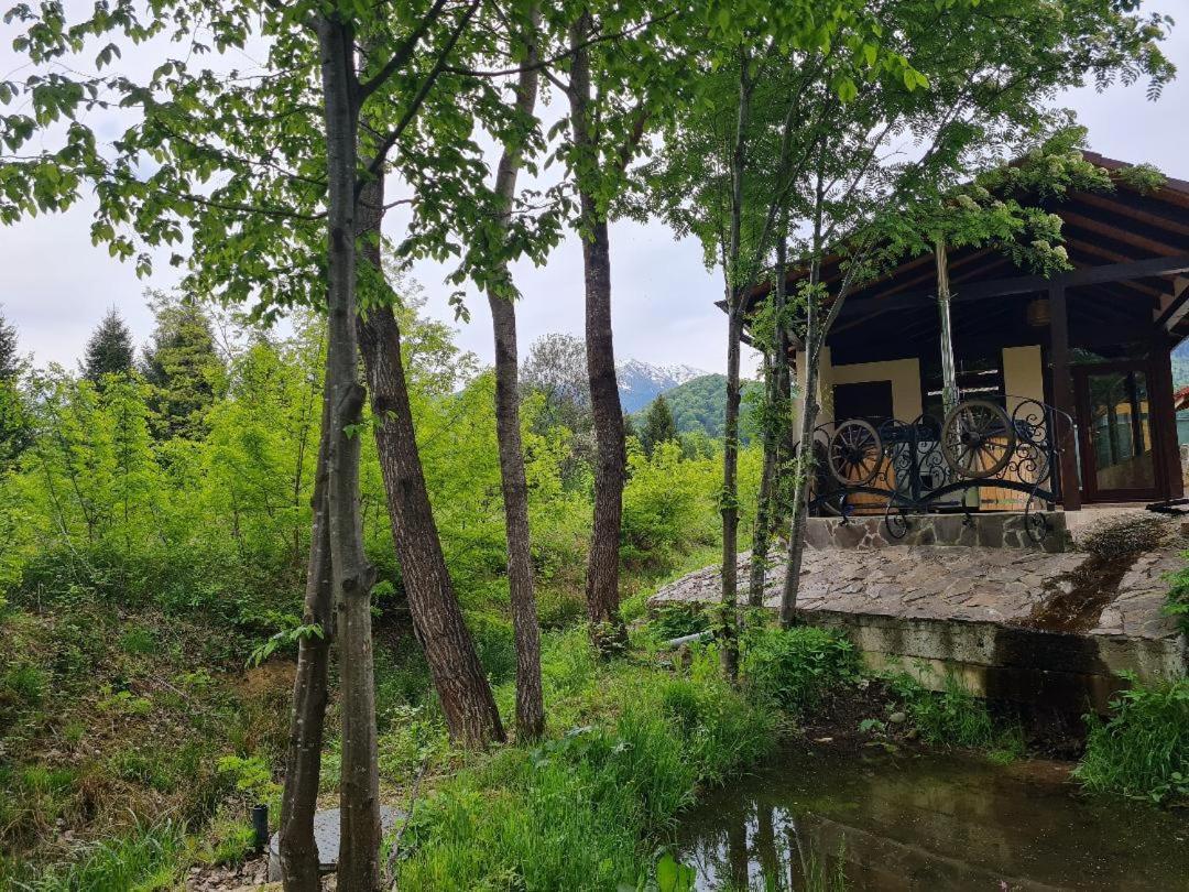 Pensiunea Valceaua Zanelor Dragus Exterior foto
